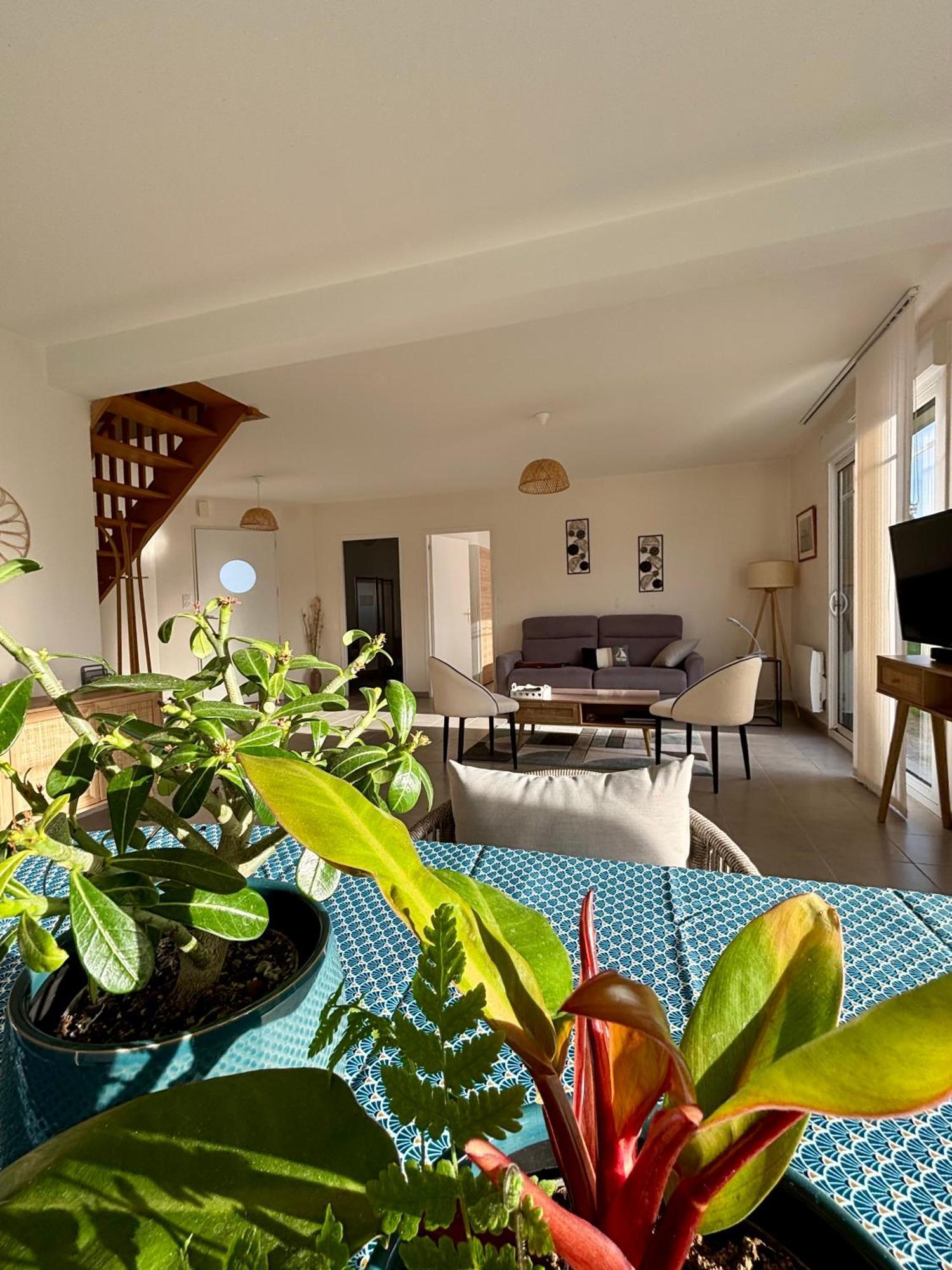 Maison Colette - Proche Plage Saint-Malo Luaran gambar